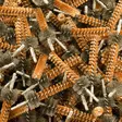 BoreTech AR-15 Chamber Brush Bronze - Muut aseenhoitotuotteet - 667739980692 - 6
