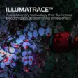 Nebo Illumatrace Blood Tracker - Taskulamput ja hakuvalot - 5060945231803 - 3