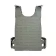 Tasmanian Tiger PC LP LC Frame IRR SM - Plate Carrierit - 4013236404944 - 3
