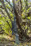 Bergara Wilderness Sierra .308 Win - Pulttilukkoiset kiväärit - BW163308 - 7