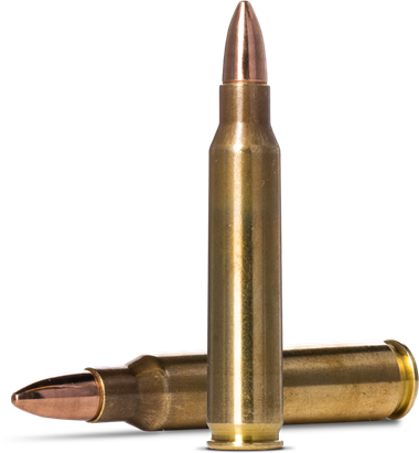Norma Tactical FMJ .223 55gr - .223 Rem - 4000294220289 - 1